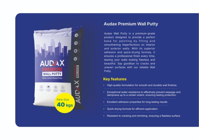 Audax Premium Cement Base Wall Putty 40kg